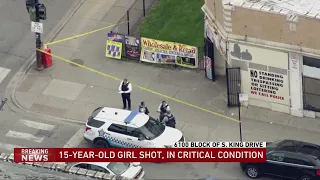 Police: 15-year-old girl shot while walking dog on South Side; critical condition