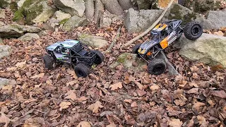 RC Crawler Capra😍vs. Gatekeeper🤪