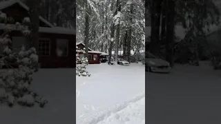 Tesla Model 3 2020 AWD in deep snow