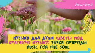 Музыка для души (Цветы под музыку) Music for the soul. relax