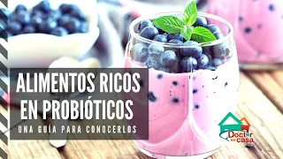 Alimentos que contienen probióticos