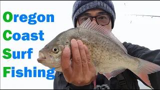 Oregon Surf Fishing   How to Catch Surf Perch