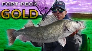 Chasing GIANT Walleye - Fort Peck - 2020 ( OFFICIAL VIDEO )