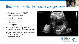 Joint Echo Conference: Fetal Echocardiography