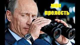 Какие часы носит Путин? Обзор коллекции наручных часов президента Путина