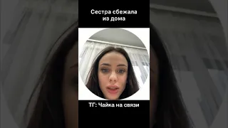 Прода в тг “чайка на связи” #shorts #tiktok