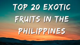 "Top 20 Must-Try Fruits in the Philippines: Discover the Exotic Flavors of the Archipelago!"