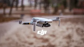 Dji Mavic Mini - самый компактный квадрокоптер