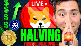 SHIBA INU COIN - BITCOIN HALVING Countdown Live🔴Breaking Crypto NEWS