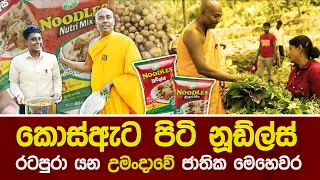 කොස් ඇට පිටි නූඩ්ල්ස්  - රටපුරා යන උමංදාවේ ජාතික මෙහෙවර  #umandawa