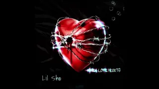 Lil Sho - When Love Hurts (Official Audio) #lovesongs