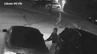 Cibolo police asking the public for help in identifying car burglary suspects