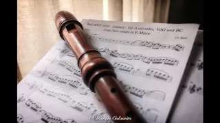 J.S Bach BWV 1034 Flute sonata in E minor - Andante - alto recorder