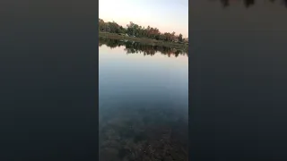 Titreyen göl