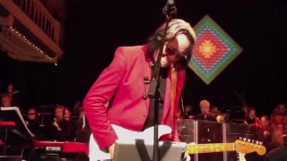 Todd Rundgren and The Metropole Orchestra Amsterdam - Flamingo (Live 2012)