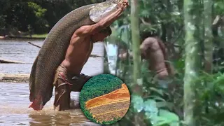 10 Cosas del Amazonas que no sabías