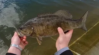 Slayin' Smallmouth Bass from the Shore! Finger Lakes, NY