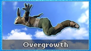 Overgrowth FLYING MOD | Overgrowth
