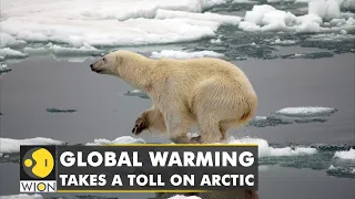 UN agency confirms 2020 arctic heat record in Siberian town | Mercury soars to 38 Celsius |WION News