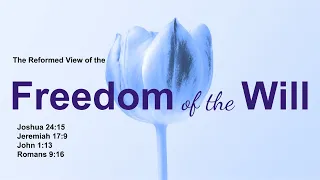 The Reformed View: The Freedom of the Will