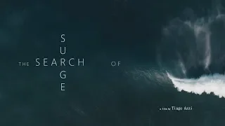 The Search of Surge