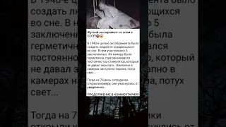 Жуткий эксперимент со сном #история #познавательно #факты