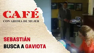 Sebastián se reencuentra con Gaviota para contarle todo | Café, con aroma de mujer