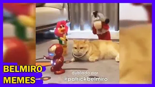 Belmiro Memes: Dublagens de animais engraçados - Episódio 134