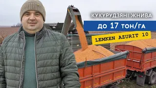 До 17 т/га кукурудзи в бункері! Гібрид Pioneer P8816. Висів Delta Row сівалкою Lemken Azurit 10