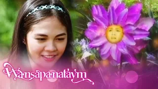 Wansapanataym: Jasmin's Flower Power | Pilot Episode
