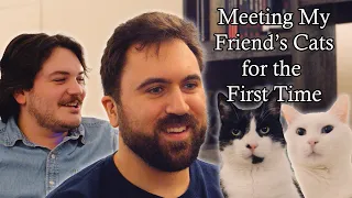 Meeting My Friend's Cats for the First Time: A Documentary