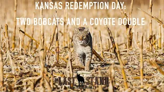 Kansas Redemption Day: Two Bobcats and a Coyote Double | The Last Stand  S3:E6 | December in Kansas