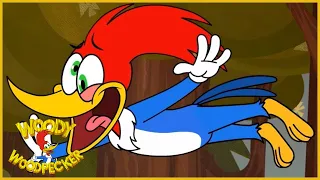 Woody Woodpecker is Back! | NEW Woody Woodpecker Series - Promo 3 | Kids Movies