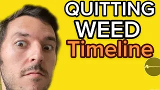 Quitting Weed Timeline (What To Expect)