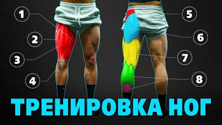 Тренировка НОГ. Упражнения для НОГ и ЯГОДИЦ. Сплит "ЖИМЫ, ТЯГИ, НОГИ"