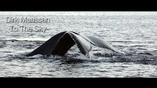 Absolutely Wonderful Piano Piece - Dirk Maassen - To The Sky (featured on Whales at Senja, Norway)