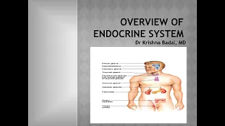 Overview of endocrinology