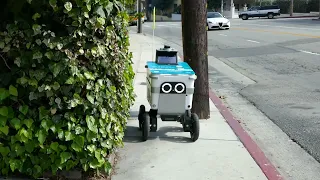 Delivery Robot Los Angeles California USA May 24, 2024