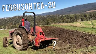 Can I Run A Rotary Hoe On My Ferguson TEA-20 Tractor?