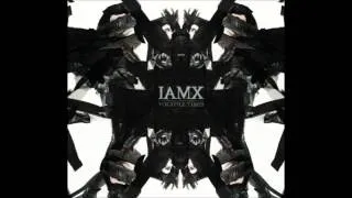 IAMX - I Salute You Christopher (US Version)