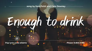 Sam Feldt & Cate Downey | Enough To Drink lyrics video.