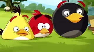 Angry Birds Toons - S1E49 - The Truce