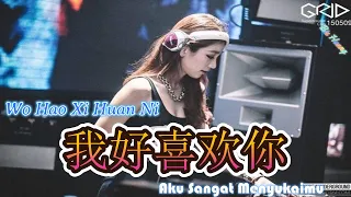 Wo Hao Xi Huan Ni || 我好喜欢你 || Aku Sangat Menyukaimu || Hot Remix Tik Tok || Lirik Terjemahan (DJ抖音版)