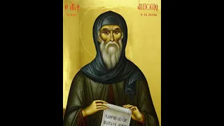 Ο Άγιος της ημέρας - 17 Ιανουαρίου - Όσιος Αντώνιος ο Νέος