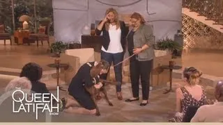 Dogs on Deployment Reunites Soldier's Dog on the Queen Latifah Show