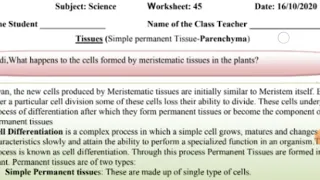 Class-9 Worksheet-45 Science (English)