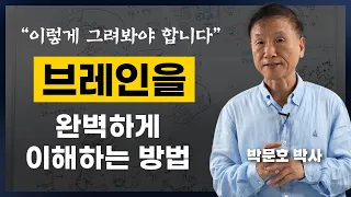 인간의 행동을 이해하는 원리 '브레인(뇌)'의 구조와 원리 (박문호 뇌과학자 강연1부)