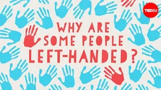 Why are some people left-handed? - Daniel M. Abrams