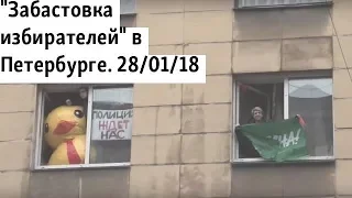 "Забастовка избирателей" в Петербурге. 28/01/18