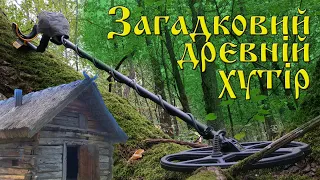 Викопав середньовічний срібний колт та монети. Коп артефактів з garrett ace 250